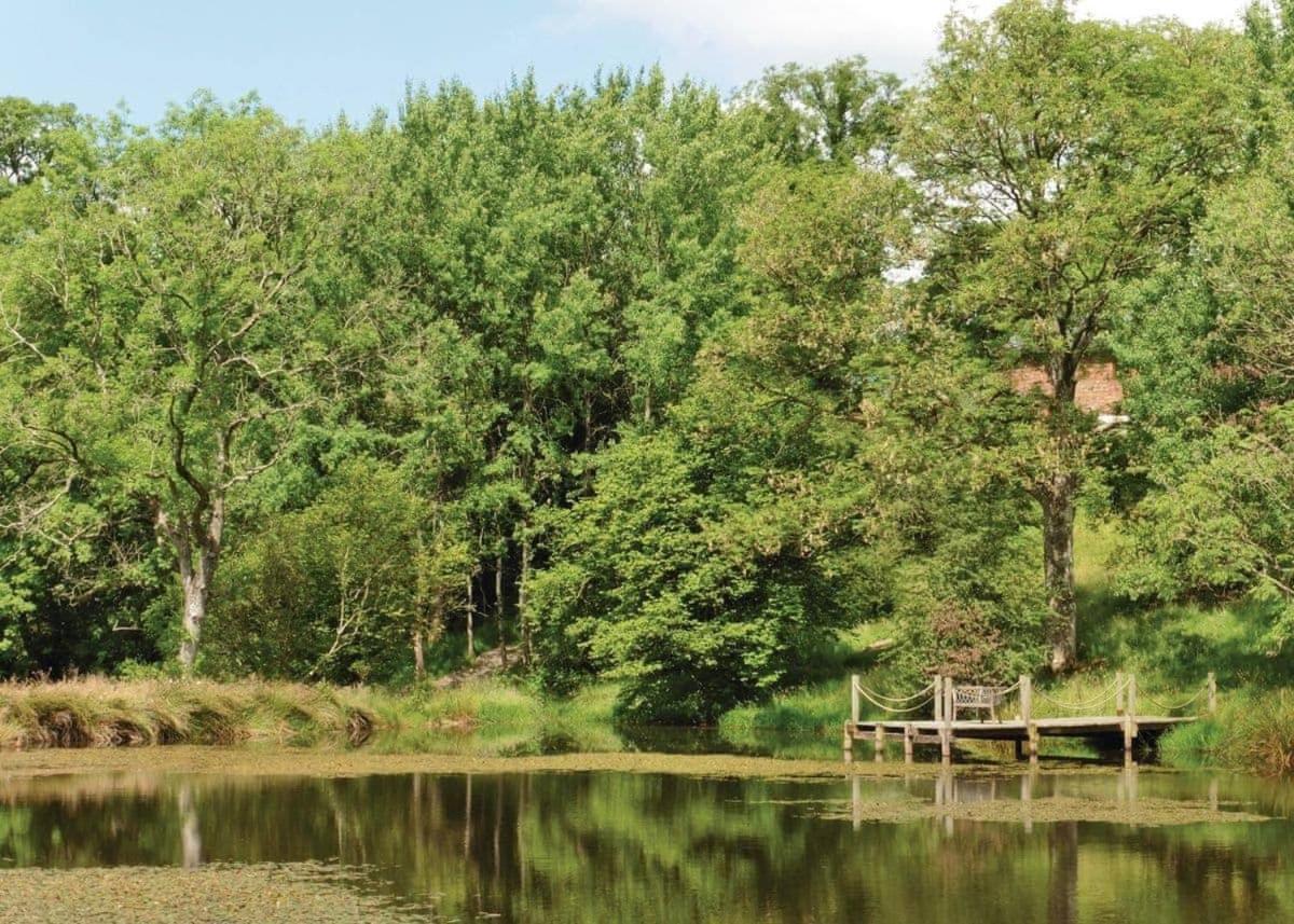 Mill Meadow Lodges Llanbister 外观 照片